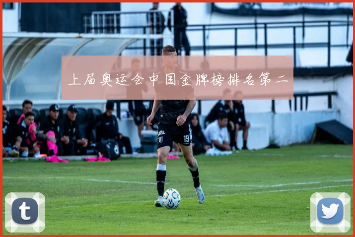 上届奥运会中国金牌榜排名第二