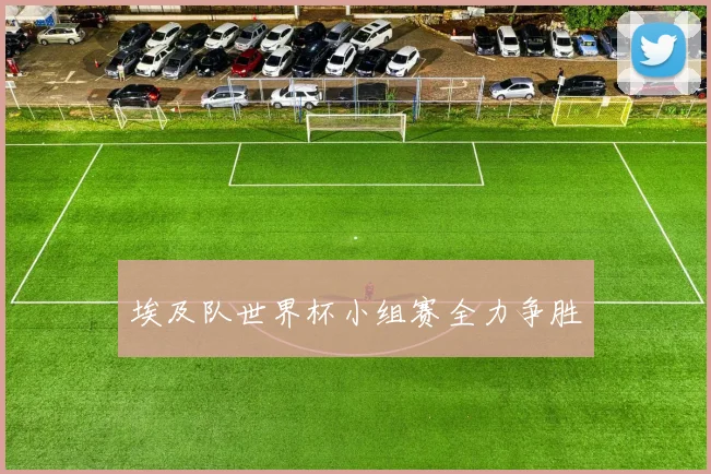埃及队世界杯小组赛全力争胜