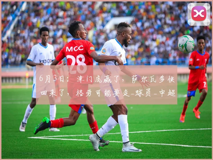 6月3日：津门虎赢了，萨尔瓦多快回来了，格劳可能要走_球员_中超_位置