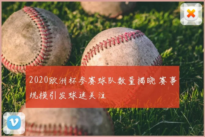 2020欧洲杯参赛球队数量揭晓 赛事规模引发球迷关注