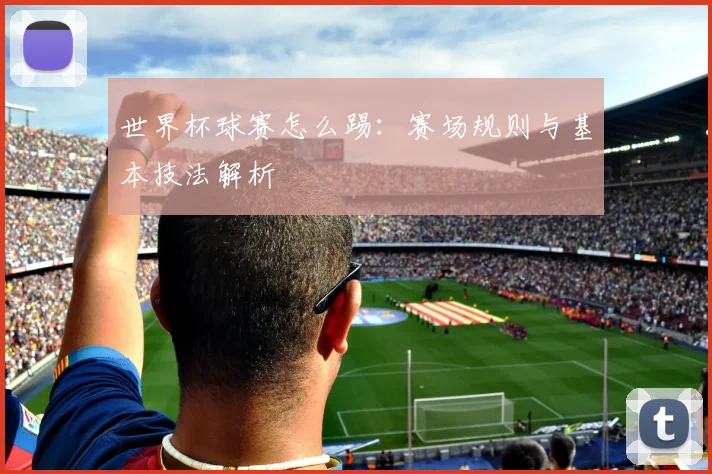世界杯球赛怎么踢:赛场规则与基本技法解析