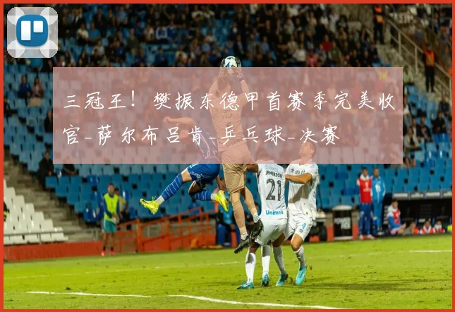 三冠王!樊振东德甲首赛季完美收官_萨尔布吕肯_乒乓球_决赛