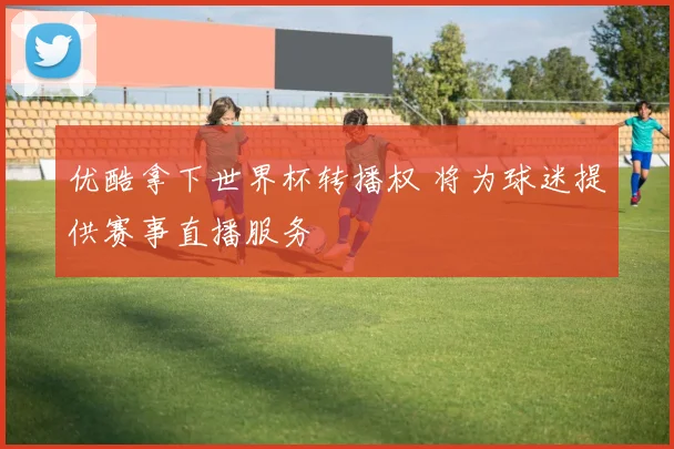 优酷拿下世界杯转播权 将为球迷提供赛事直播服务