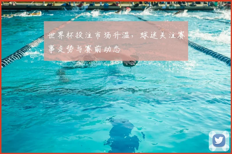 世界杯投注市场升温，球迷关注赛事走势与赛前动态