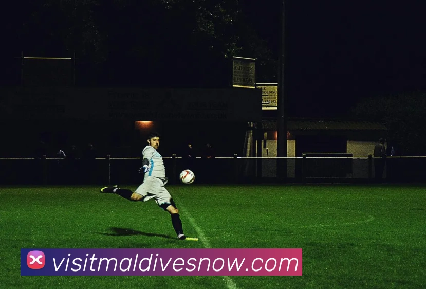 华体网体育官网平台生态图