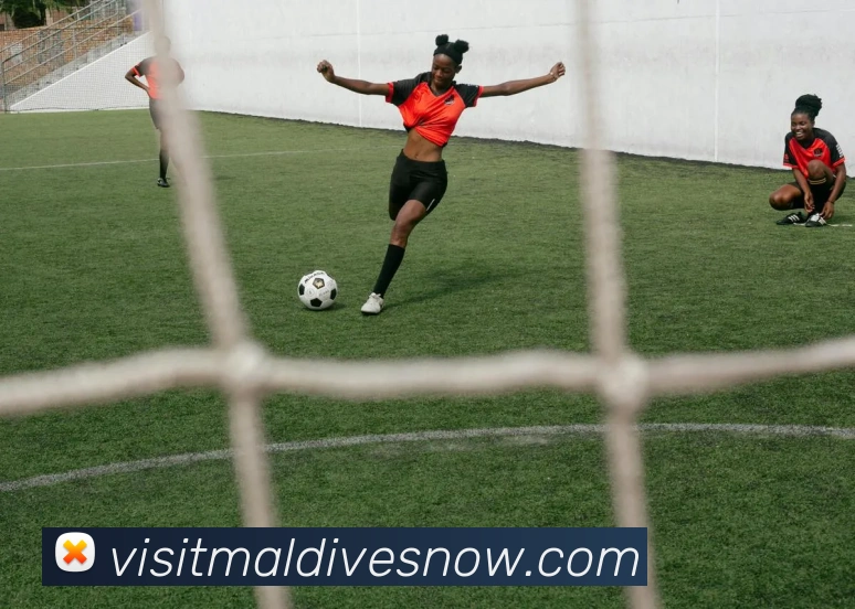 华体网体育官网APP 封面图